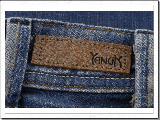 Yanuk$B$N<L??(B